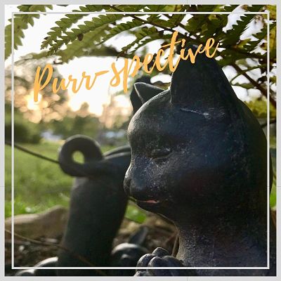 meditation cat statue