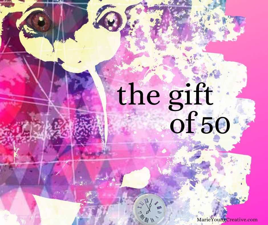 the gift of 50 rabbit art by Marie Young